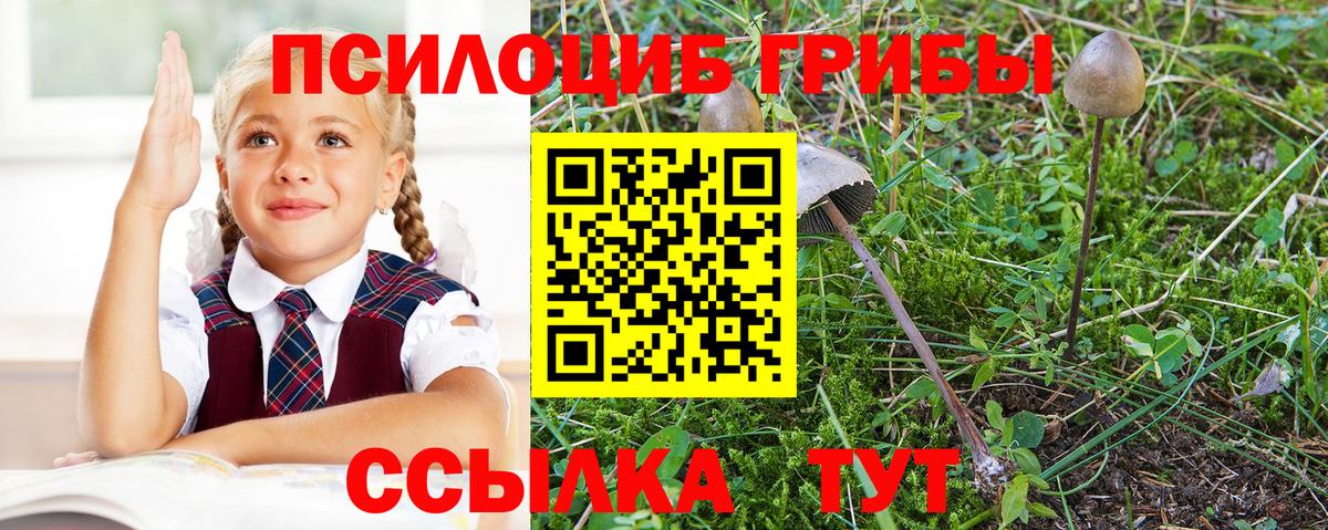 Псилоцибиновые грибы MAGIC MUSHROOMS  Вход с VPN  Кириши 