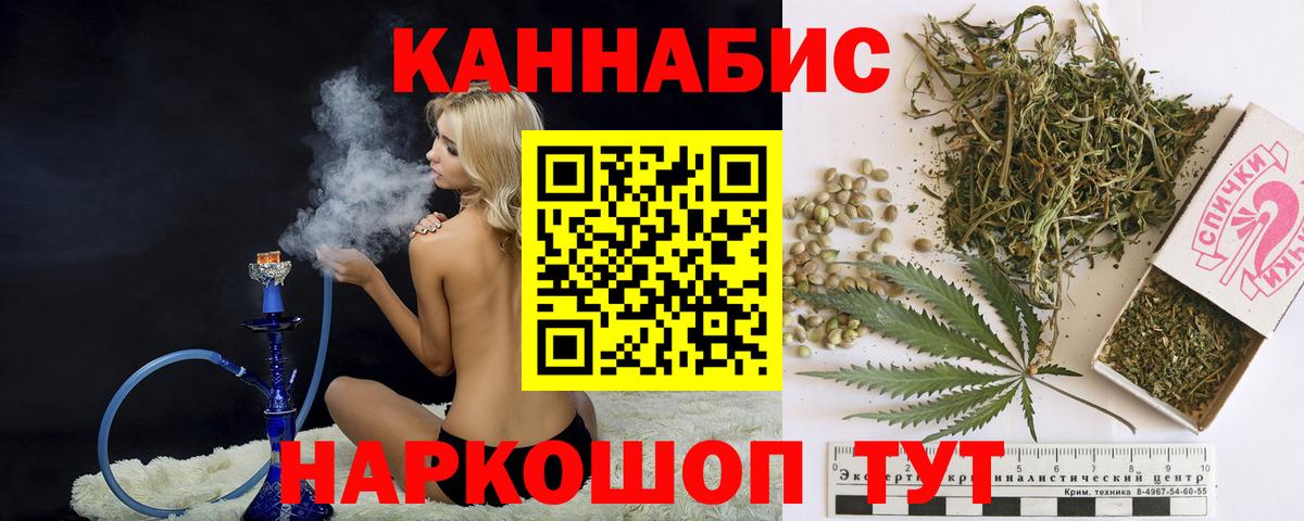 Кириши  Бошки Шишки тримм  Шишки марихуана план  Каннабис индика  Вход с VPN 